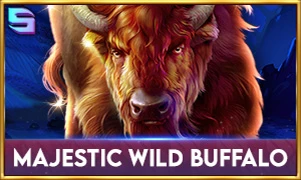 https://vivabets.com.ro/